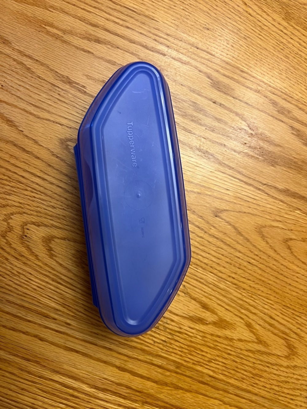 Tupperware Blue Plastic Egg Storage Container